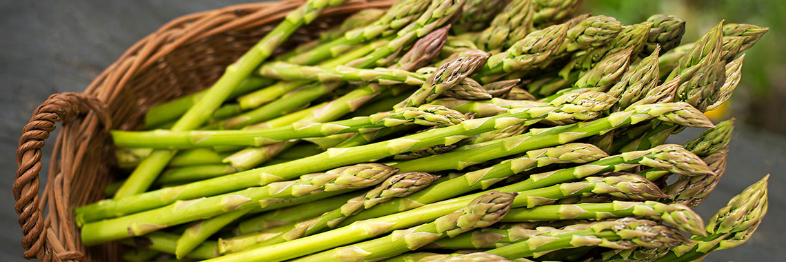 Asperge verte