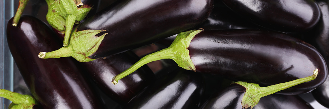 Aubergine
