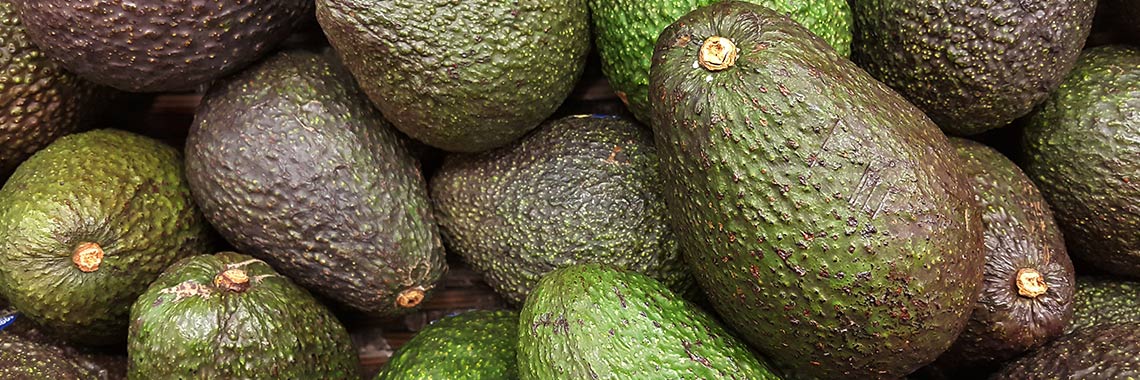 Avocat