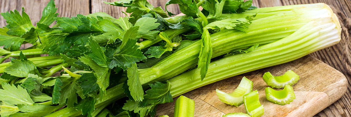 Celery branch