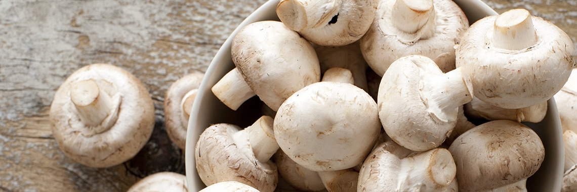 Champignon