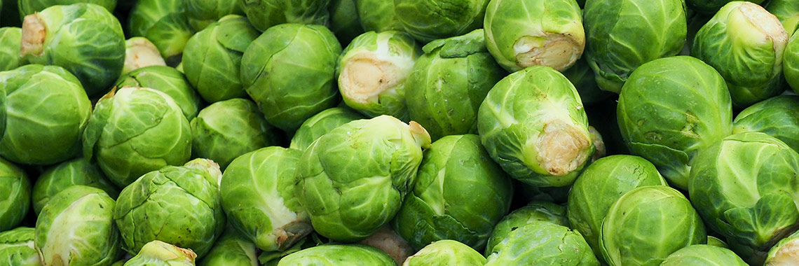 Chou de Bruxelles
