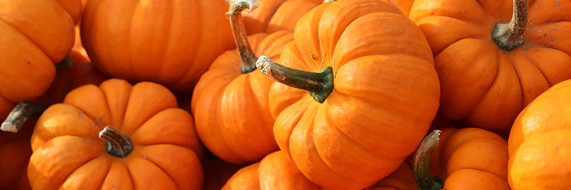 Pumpkin