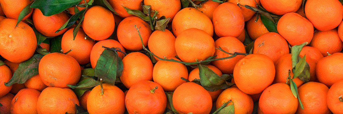 Clémentine / Mandarine