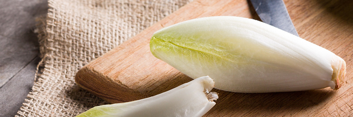 Endive