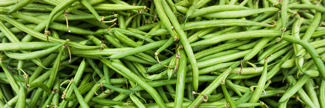 Haricot vert