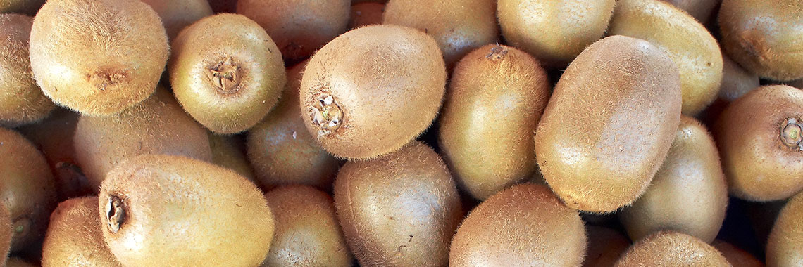Kiwi