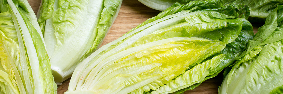 Romaine lettuce