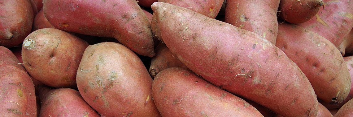 Sweet potato