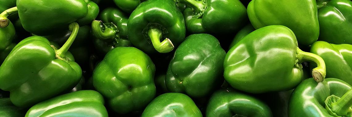 Poivron vert