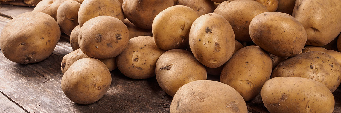 Potato