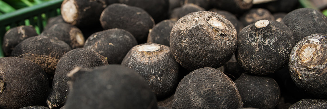 Black radish