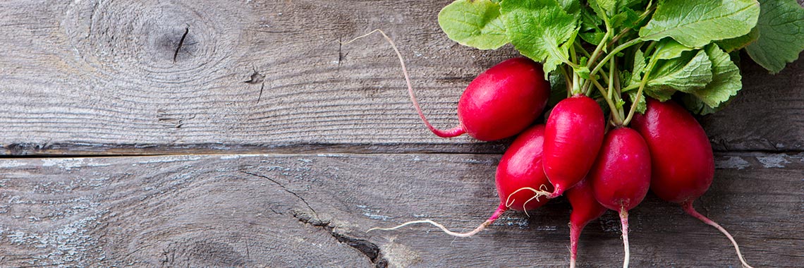 Radis rouge