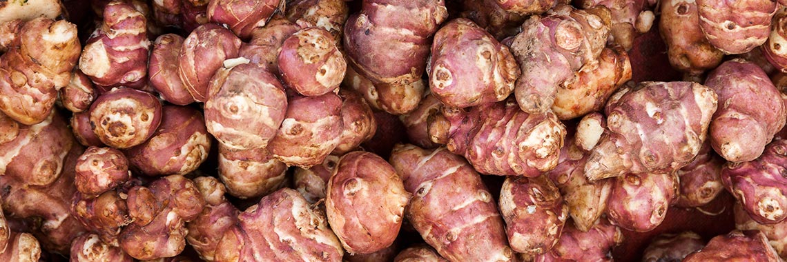 Jerusalem artichoke