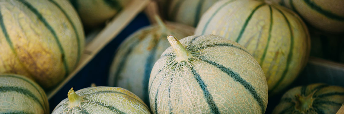 Melon