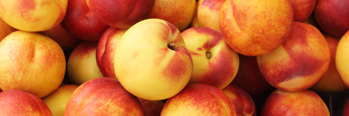 Nectarine jaune
