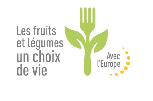 LOGO FRUITANDVEG4HEALTH Logo programme Fruit and Veg 4 health