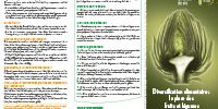 diversification alimentaire fruits légumes bébé - Aprifel