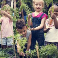 Équation Nutrition se penche sur l’efficacité des interventions à l’école pour améliorer la santé des enfants.