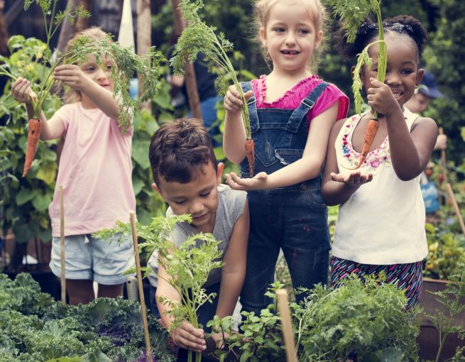 école enfants intervention santé alimentation fruits legumes - Aprifel