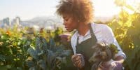 Alimentation durable et impact environnemental - actualité