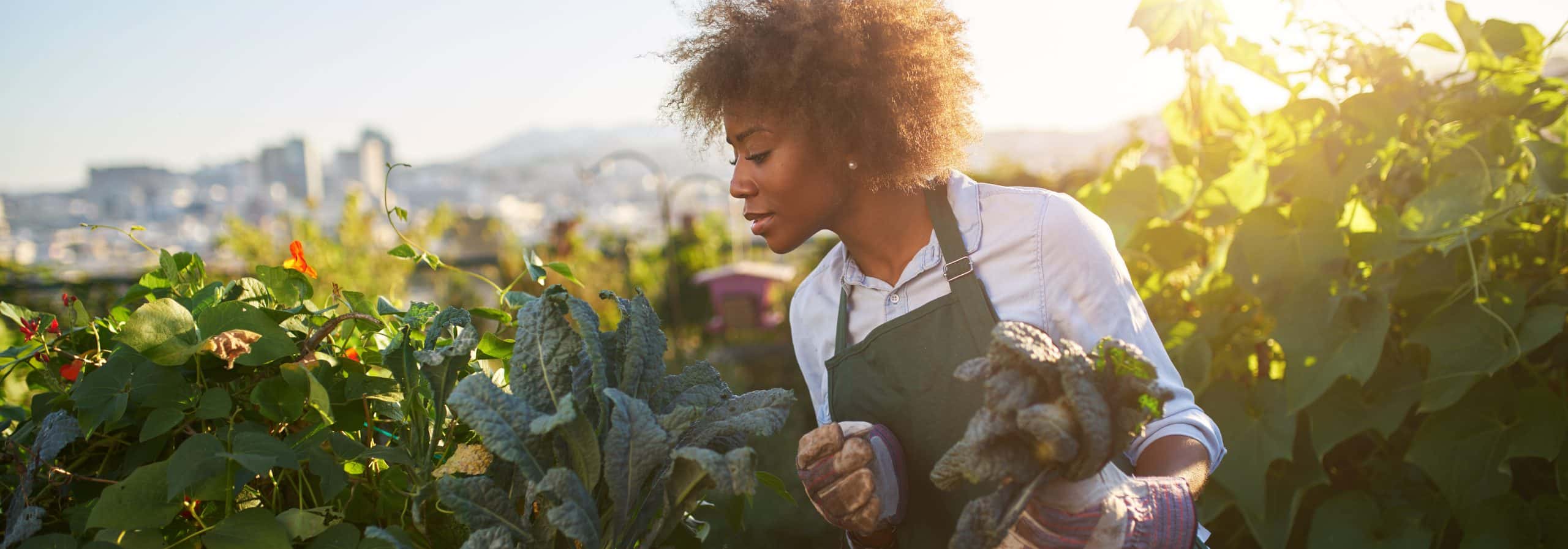 Alimentation durable : Équation nutrition fait le point