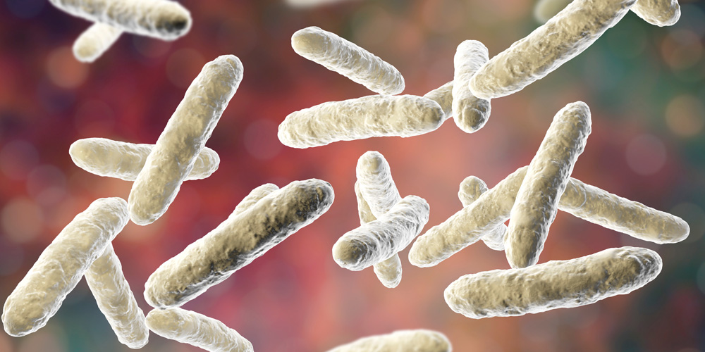 microbiote intestinal