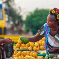 Ghana : les effets de la transition nutritionnelle analysés en temps réel