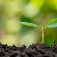Journée de la Terre : lutter contre le gaspillage alimentaire pour préserver les ressources de la planète
