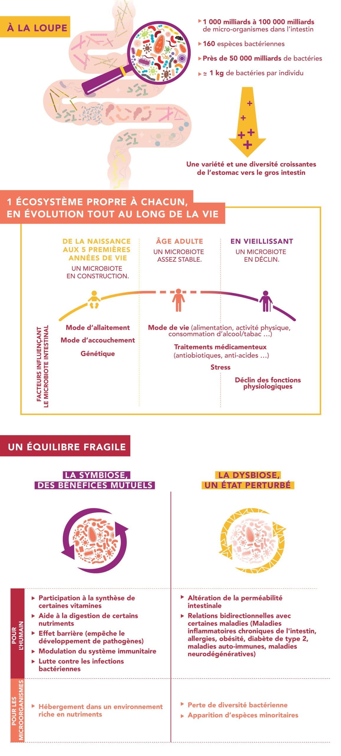 APRIFEL-microbiote-intestinal-infographie