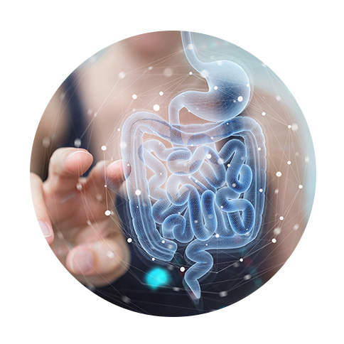 Equation Nutrition - Microbiote