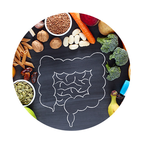 Equation nutrition - Alimentation microbiote