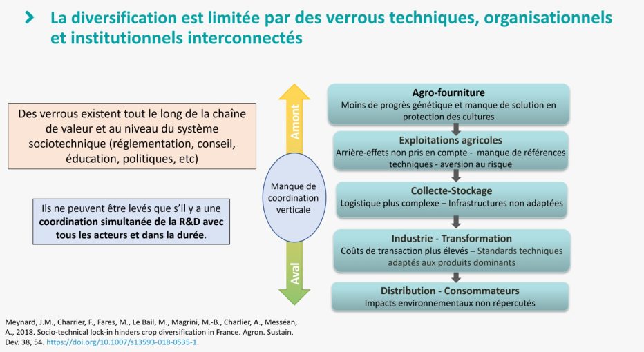 Limite de la diversification - matinée conseil conso SIA 2023