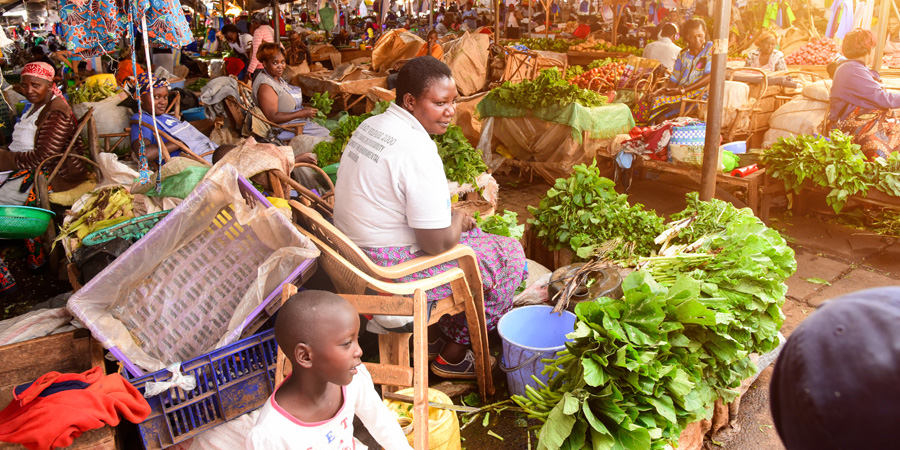 food insecurity in sub-Saharan Africa-GFVN-September 2023