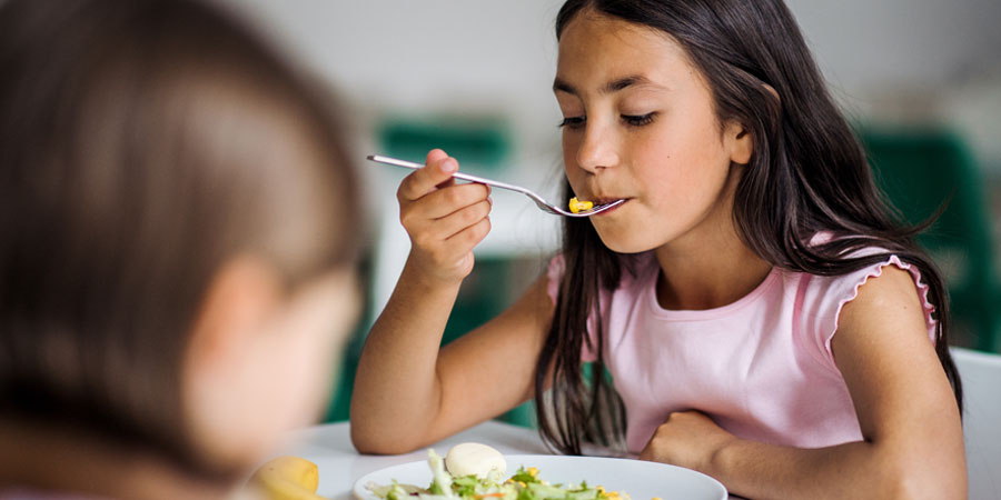 Programme national pour l'alimentation