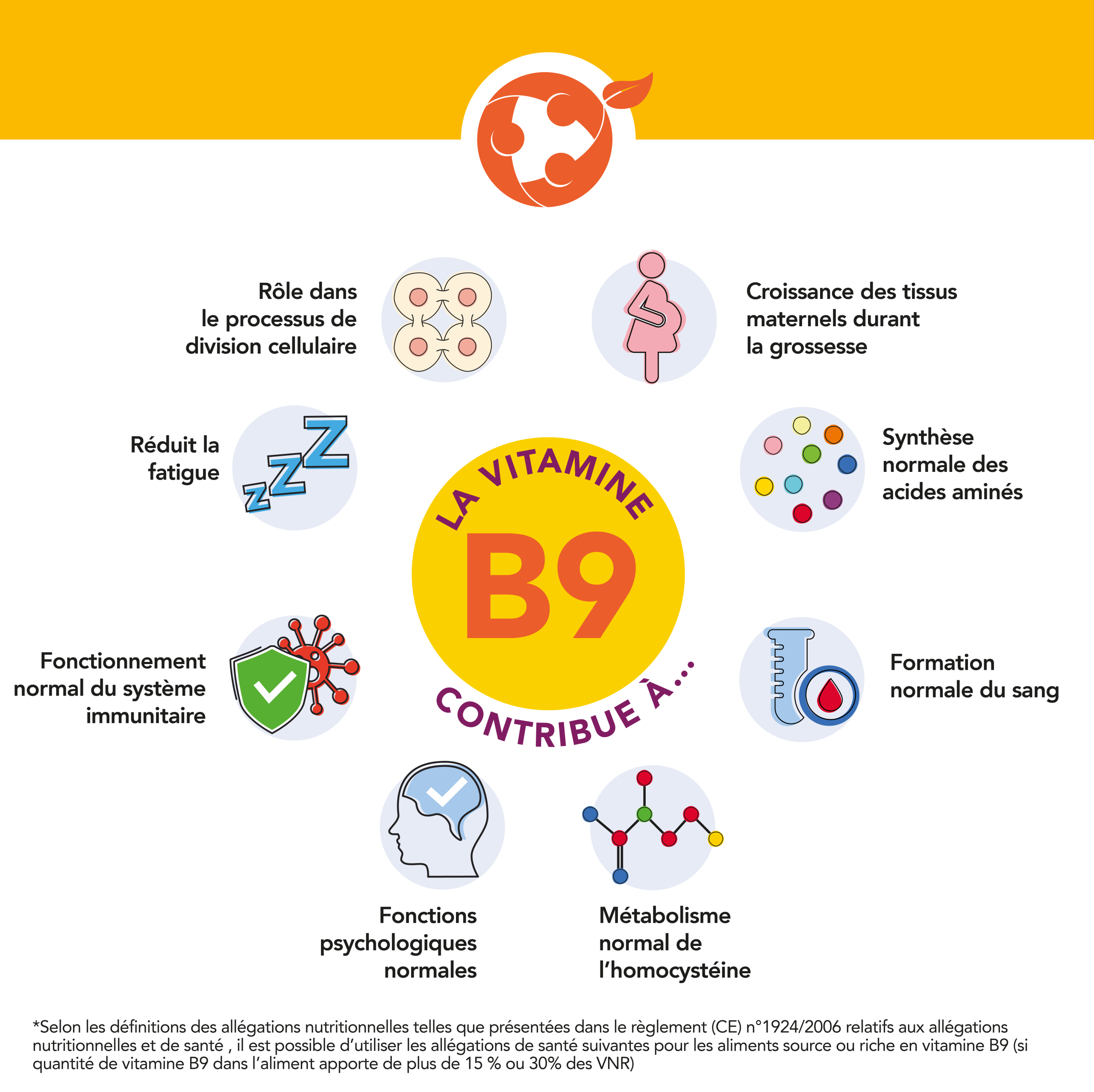 bénéfices santé de la vitamine B9 alimentation fruits légumes - Aprifel