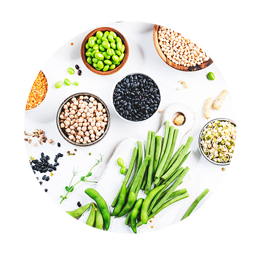 Haricots verts et légumineuses sur fond blanc fibres cancer colorectal - Aprifel