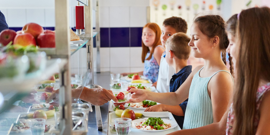 cantines écoles alimentation locale - Aprifel